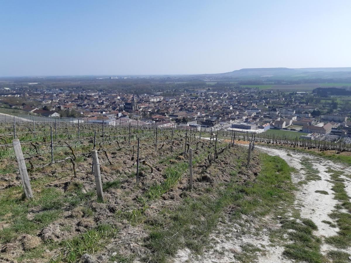 Mareuil-sur-Ay La Cour Des Marotiers Bed & Breakfast エクステリア 写真